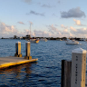 Meet your Posher, Alberto